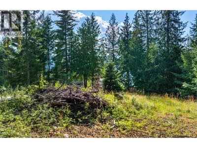 13523 MOUNTAIN SHORES Road, Creston