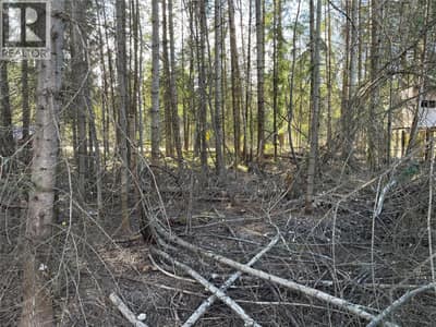 2723 Fir Drive, South Slocan
