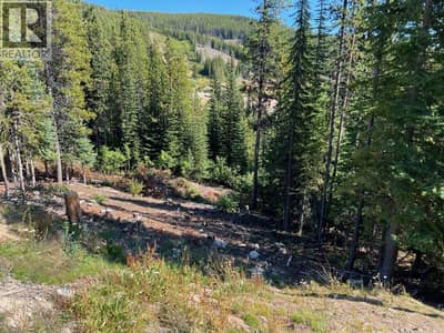Lot 122 WAPITI CREEK Road, Oliver