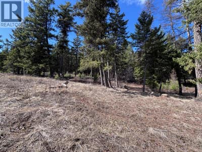 Lot 3 Hulme Creek Road, Rock Creek
