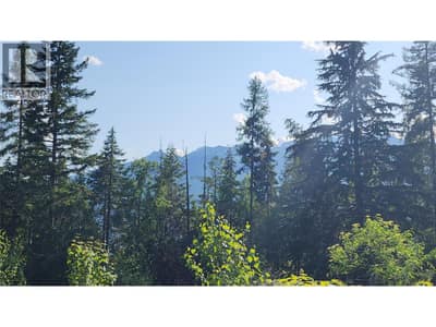 Lot 19 6 Highway, Nakusp