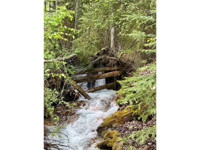 5888 Lazy Lake Road, Wasa