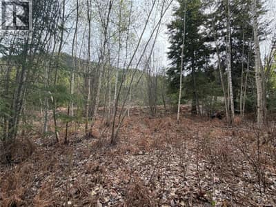 Lot 6 McBride Road, Blind Bay