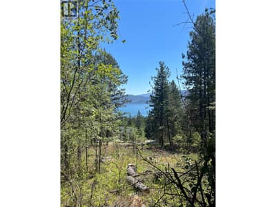 Lake view lot at 10523 Westshore Rd.