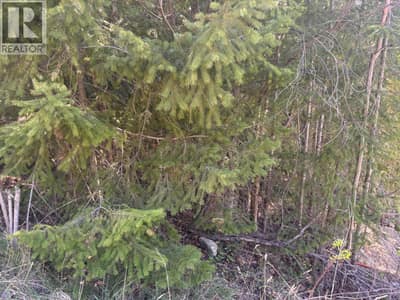 Lot 8 Stampede Trail, Anglemont