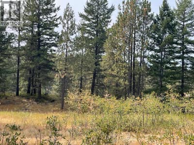 100 Cougar Court, Osoyoos