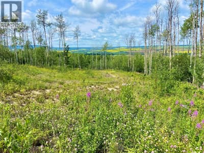 13062 Prince Subdivision, Dawson Creek