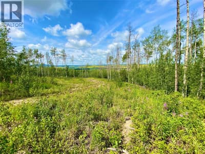 13062 Prince Subdivision, Dawson Creek