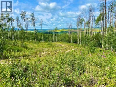 13062 Prince Subdivision, Dawson Creek