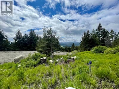 1355 TIMBERWOLF Trail, Rock Creek