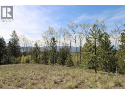 6725 Sidley Mountain Road, Bridesville