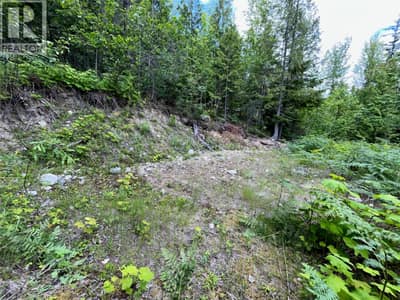 20-9000 Seymour Main Lot# 20, Seymour Arm
