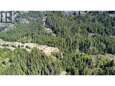 3157, 3160, Lot 13470 Upper Slocan Park Road Road, Slocan Park