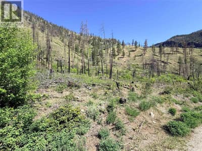 Green Mountain Road Lot# 530S, Keremeos
