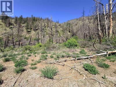 Green Mountain Road Lot# 530S, Keremeos