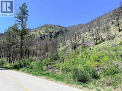Green Mountain Road Lot# 530S, Keremeos