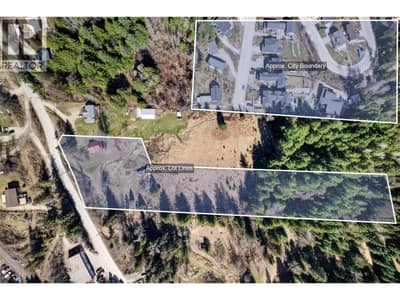 2619 Silver King Road, Nelson