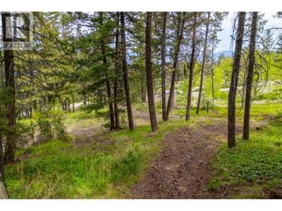 3596 Fox Farm Road, Merritt