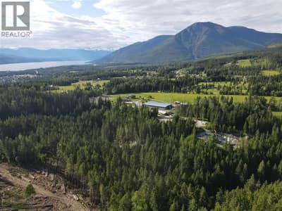 944 Guidon Road, Nakusp