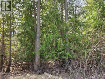 7502 Estate Drive, Anglemont