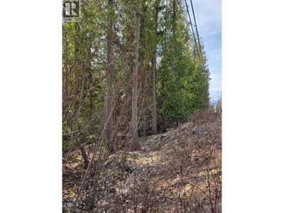7502 Estate Drive, Anglemont