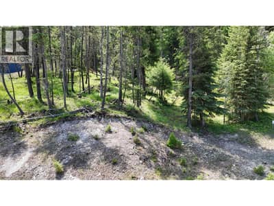 SL44 OSPREY Landing Drive, Wardner