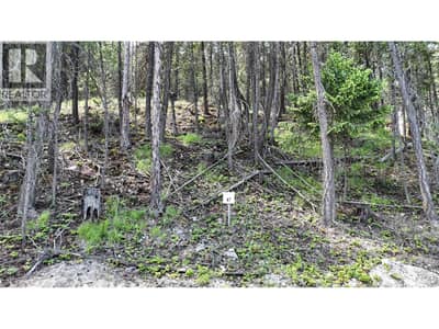SL47 OSPREY LANDING Drive, Wardner