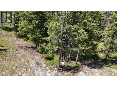 SL62 Osprey Landing View, Wardner