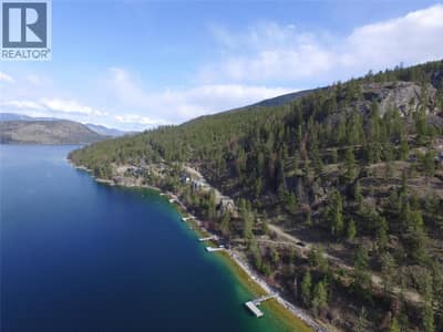 Aerial View of the Shoreline of the lakeshore subdivision.