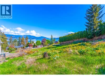 View from Lot looking over the Lake & Mountains!