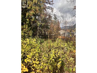 9TH Avenue, Castlegar