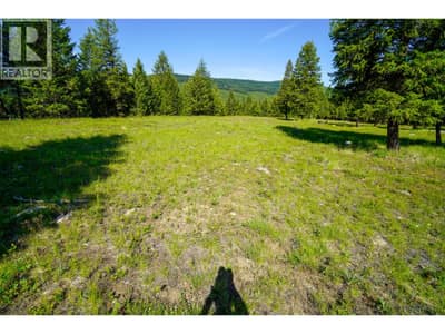 Lot 7 Mary G Road, Beaverdell