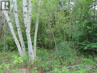 Juniper Circle Lot# 79, Blind Bay