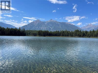 Twin Lakes View