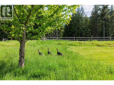 784 Lewis Road, Harrop