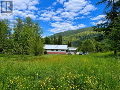2612 SILVER KING Road, Nelson