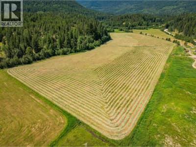 2335 PASS CREEK Road, Castlegar