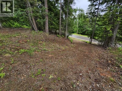 Aspen Road Lot# 331, Anglemont