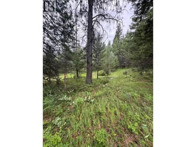 Lot 71 to 75 Holbrook Street, Elko
