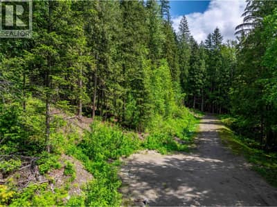714 Cedar Street, Revelstoke