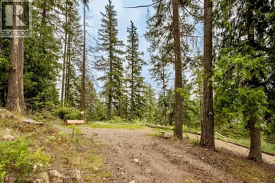 Nice flat building site on upper portion of the 0.82-acre lot, with lake and mountain views.
