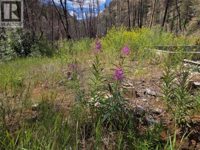 1655 Ashnola Road, Keremeos