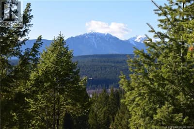 7066 WHITE TAIL Lane Lot# 17, Radium Hot Springs