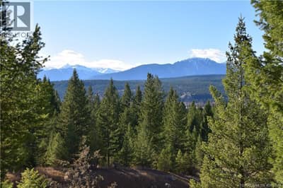 7048 WHITE TAIL Lane Lot# 21, Radium Hot Springs