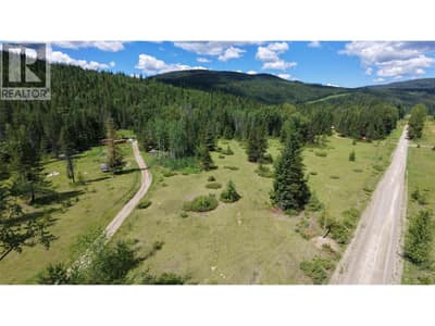 Barnes Creek Forest Service Road Lot# 34, Needles