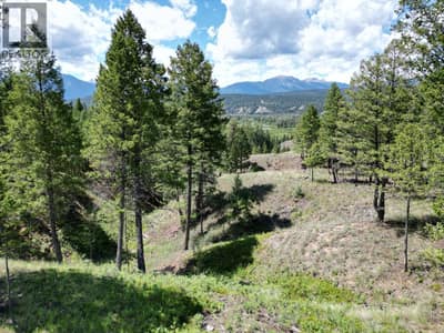 Lot 14 SADDLEWOOD Lane, Radium Hot Springs
