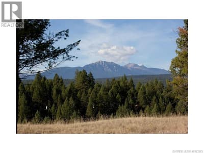 Lot 10 SADDLEWOOD Lane, Radium Hot Springs