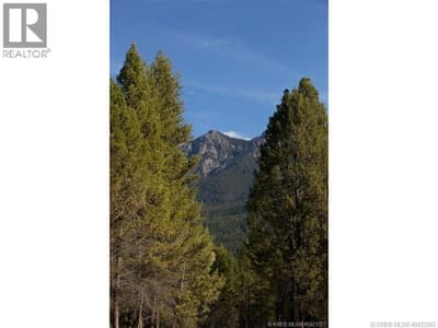 Lot 10 SADDLEWOOD Lane, Radium Hot Springs