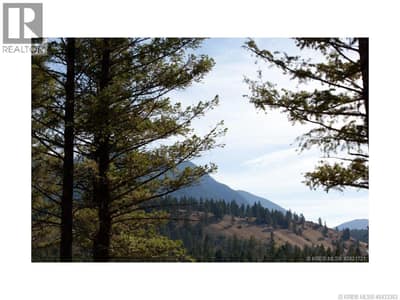 Lot 10 SADDLEWOOD Lane, Radium Hot Springs