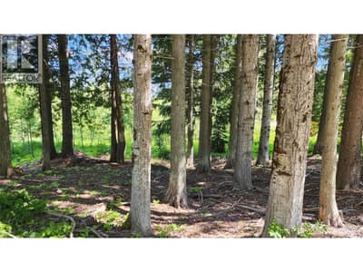 211 CEDAR CREEK Place, Rossland